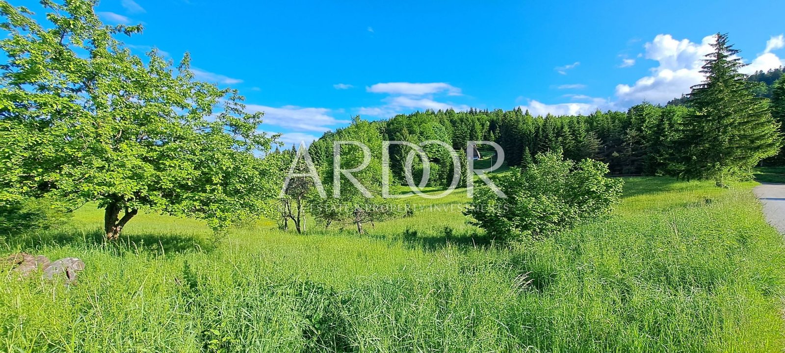 1705579077_20230607_181521