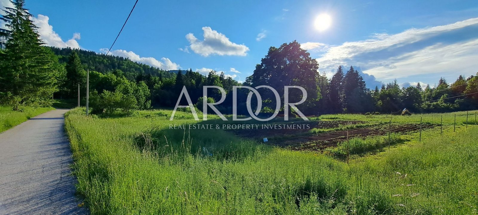 1705579080_20230607_181528