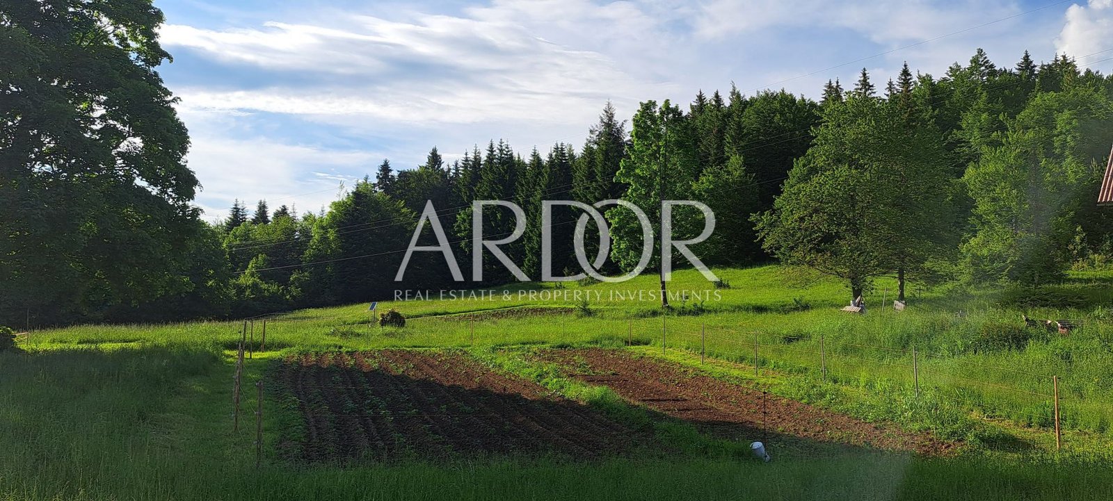 1705579084_20230607_181548