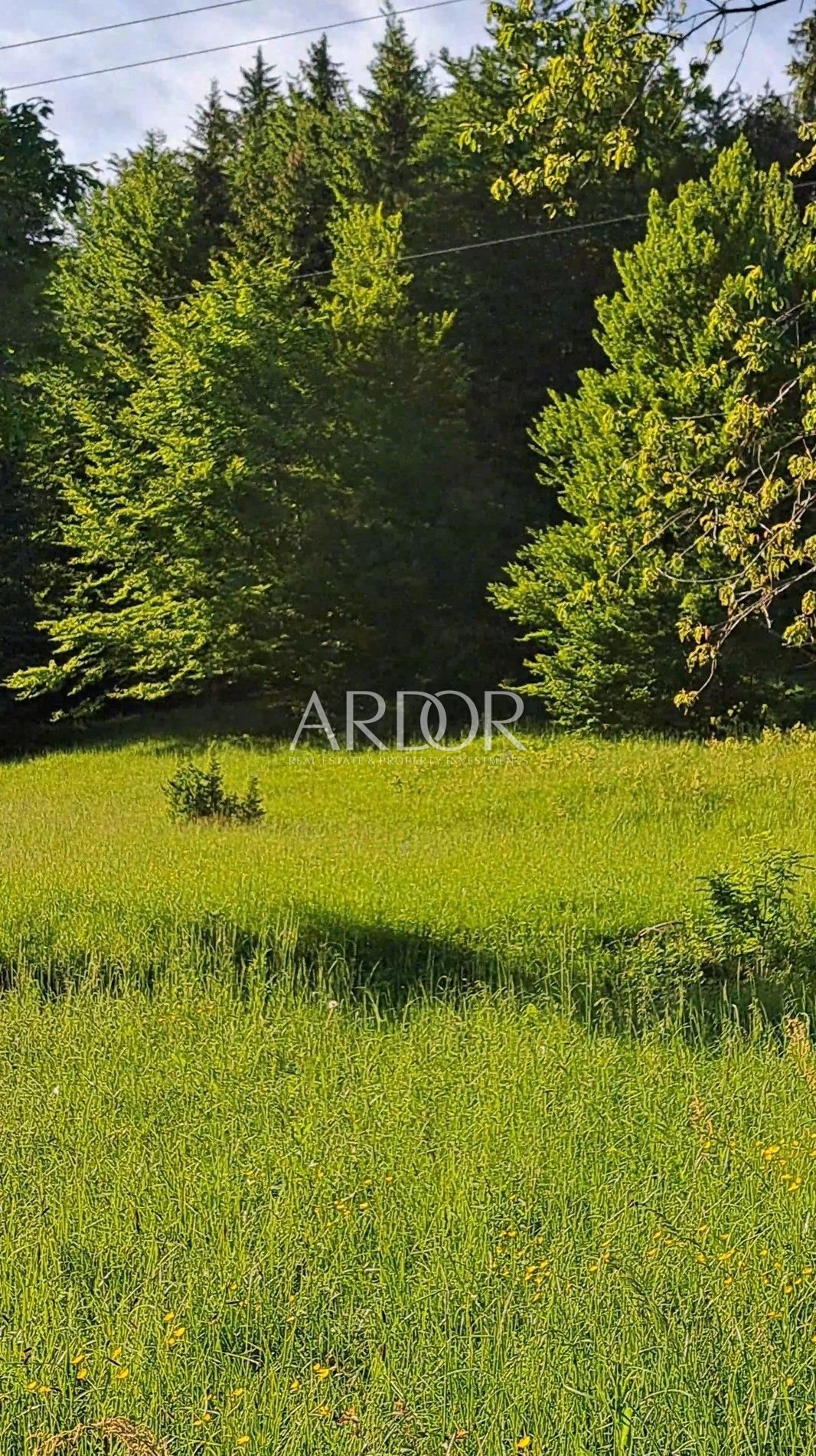 1705579104_screenshot_20240111_150910_galerie