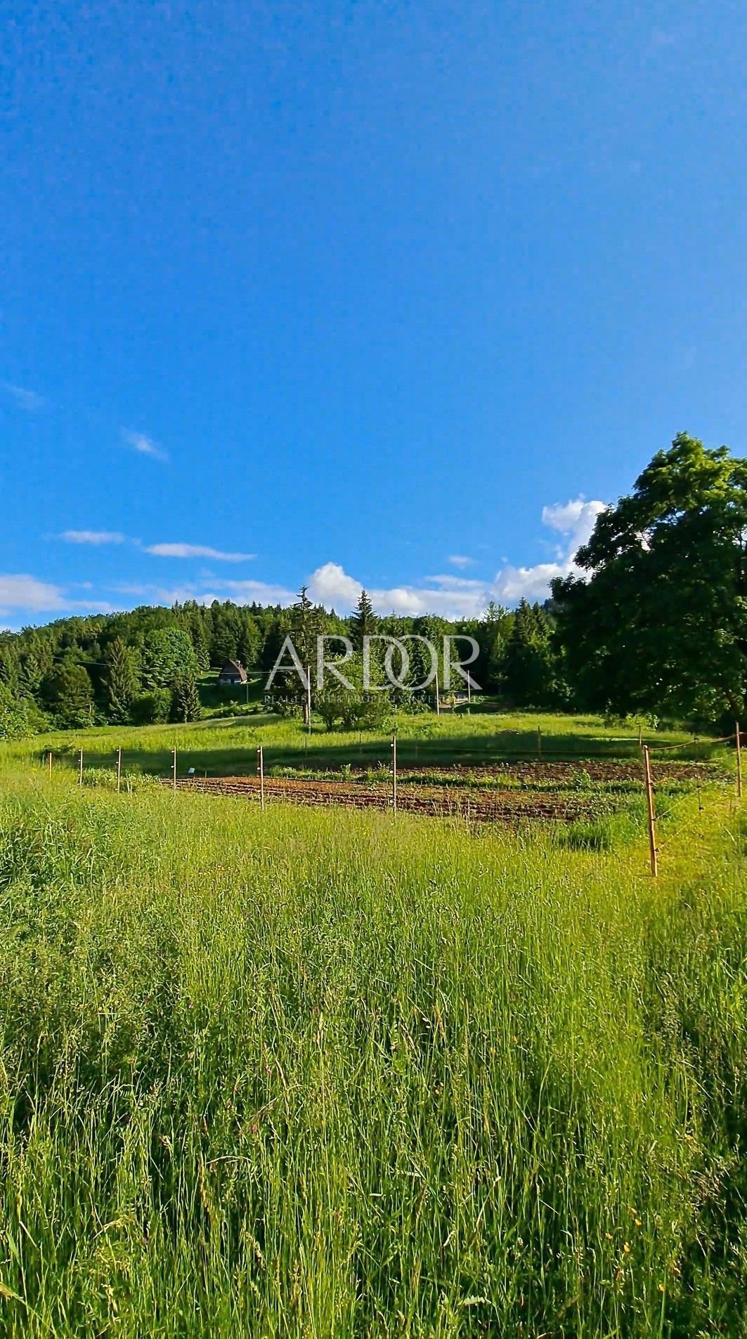 1705579107_screenshot_20240111_150916_galerie