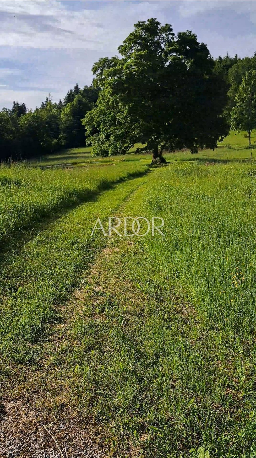 1705579116_screenshot_20240111_150946_galerie