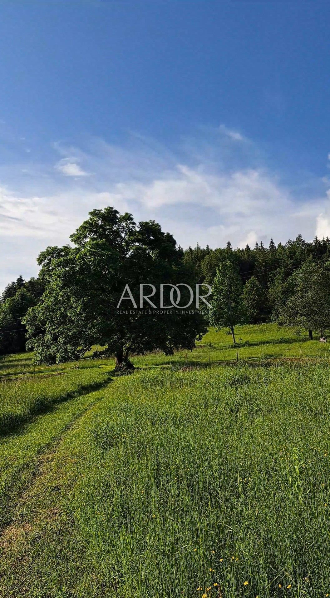 1705579118_screenshot_20240111_150953_galerie