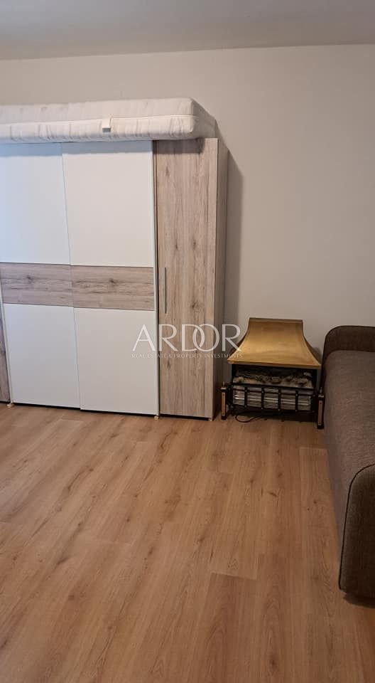 1705663010_414570347_3710703492491949_3377890957972853928_n