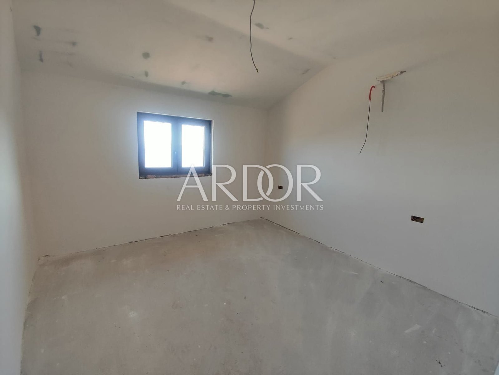 1706272726_1827dc74-557b-4c9c-890b-1e91ba075641