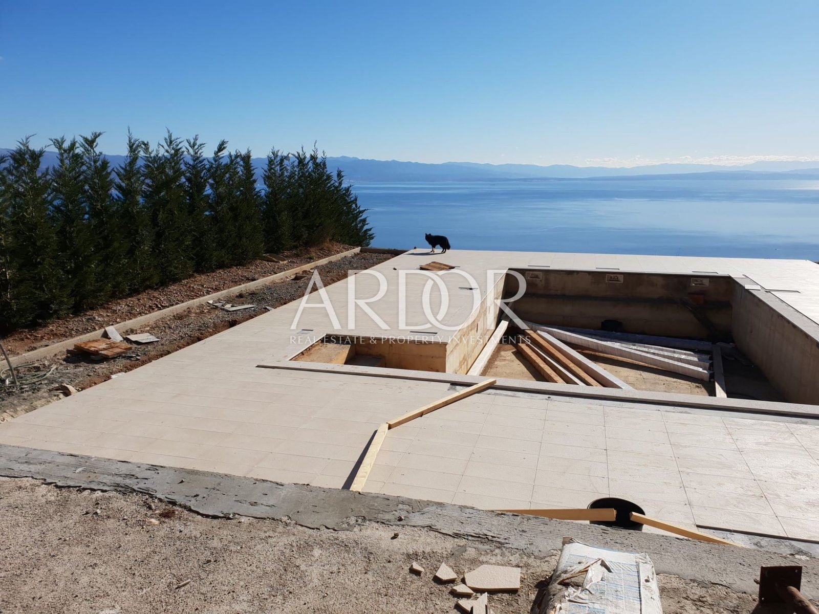 1706272781_e0a432bd-a14b-48d7-85cc-7c4f208203f5