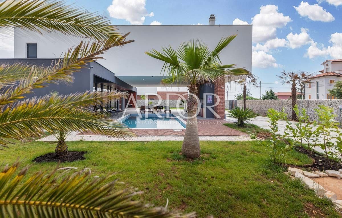 1706532313_11-229-1200-800-80