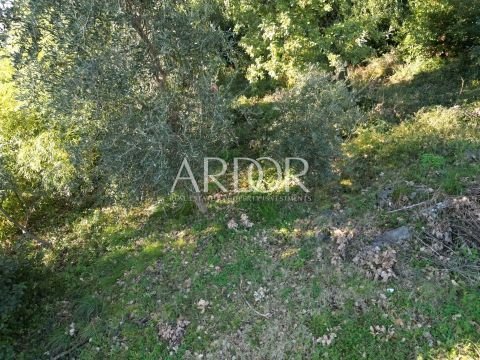 1708691225_thumb_1701353839_dji_0288