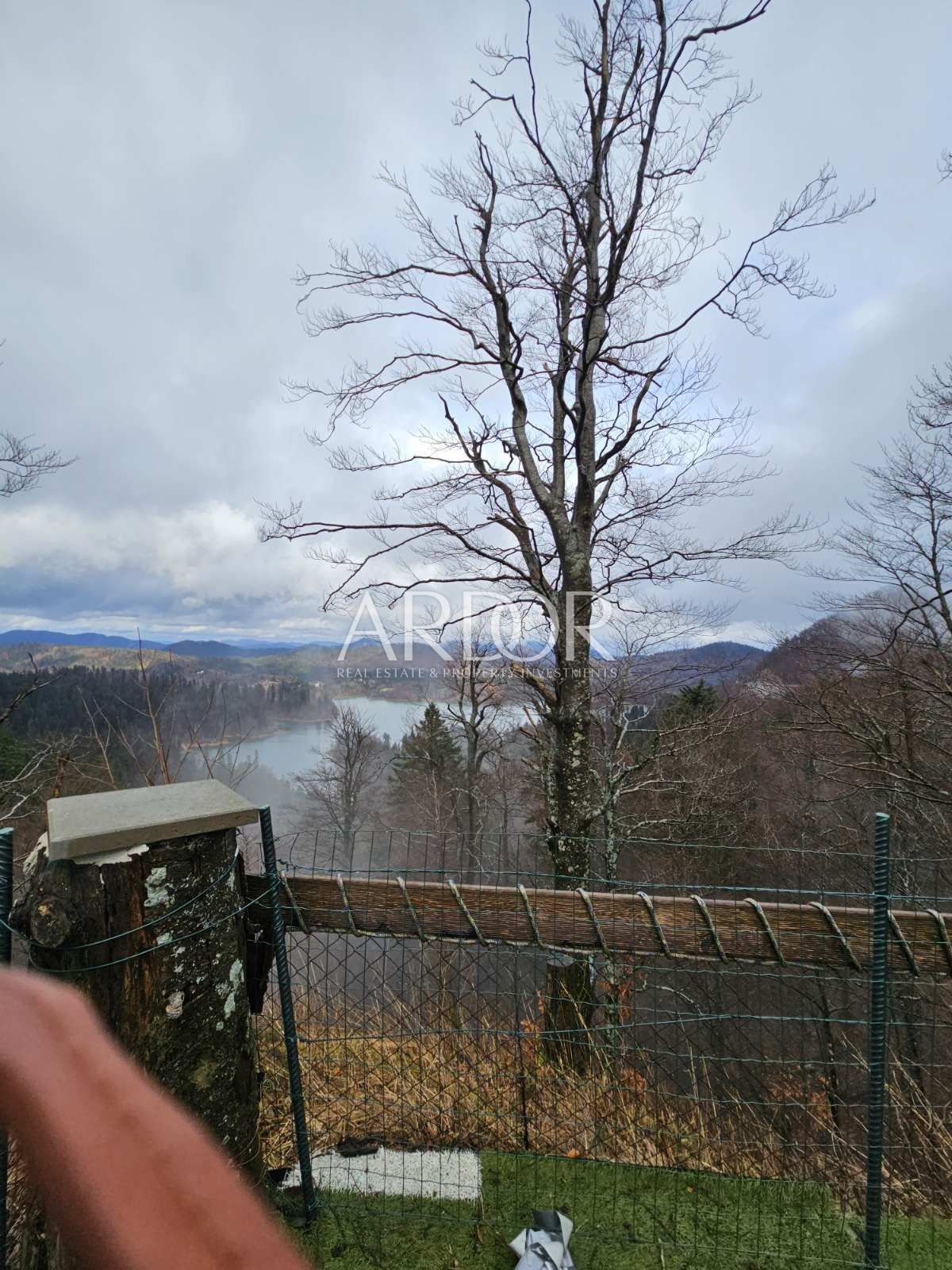 1709551072_viber_slika_2024-03-03_12-31-07-957