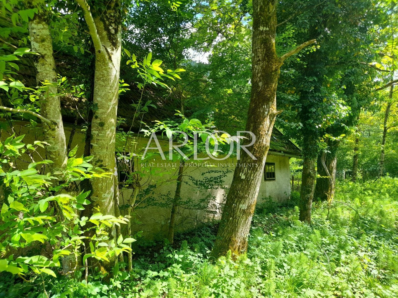 1715590650_whatsapp-slika-2024-05-13-u-10