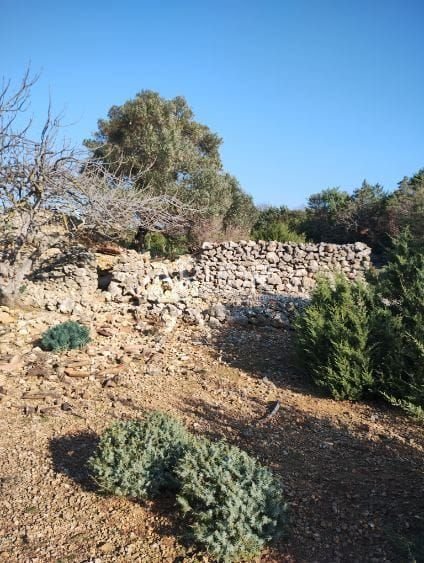 1720526401_whatsapp-slika-2024-07-09-u-13