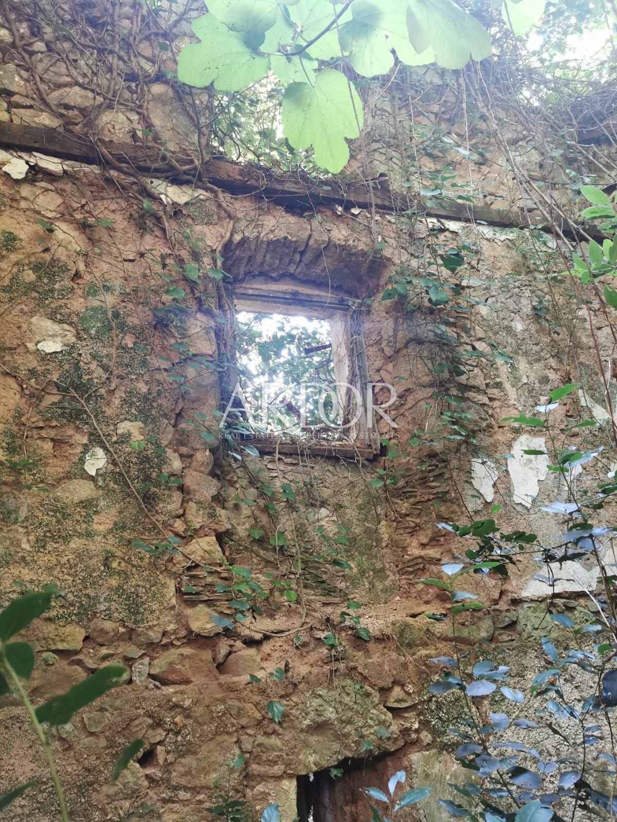 1721308348_photo-2024-07-18-14-44-31