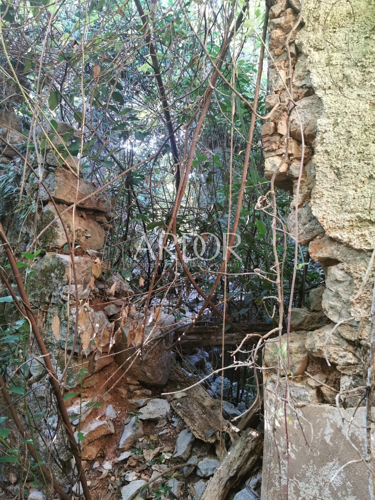 1721308350_photo-2024-07-18-14-44-29