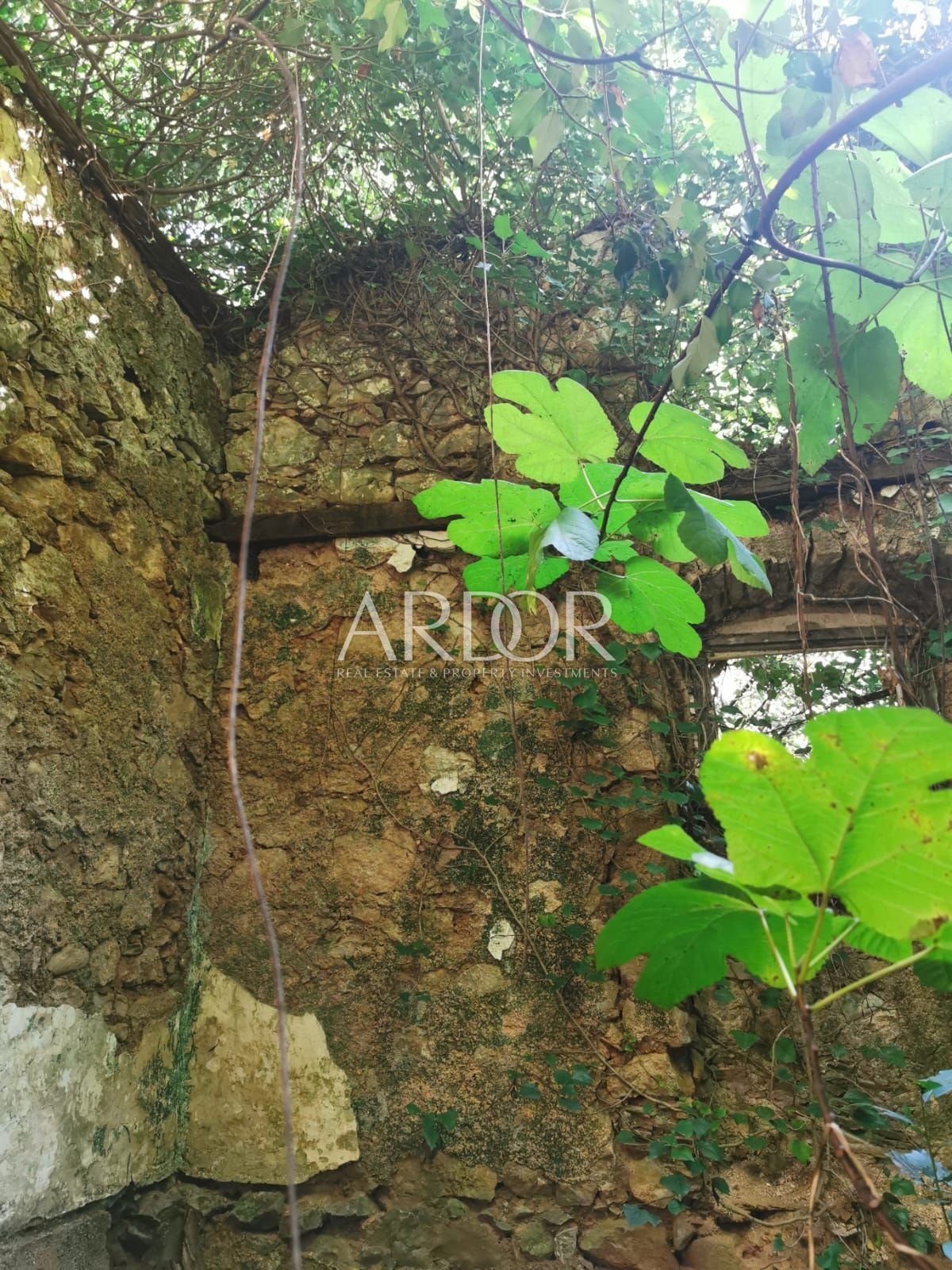 1721308354_photo-2024-07-18-14-44-11