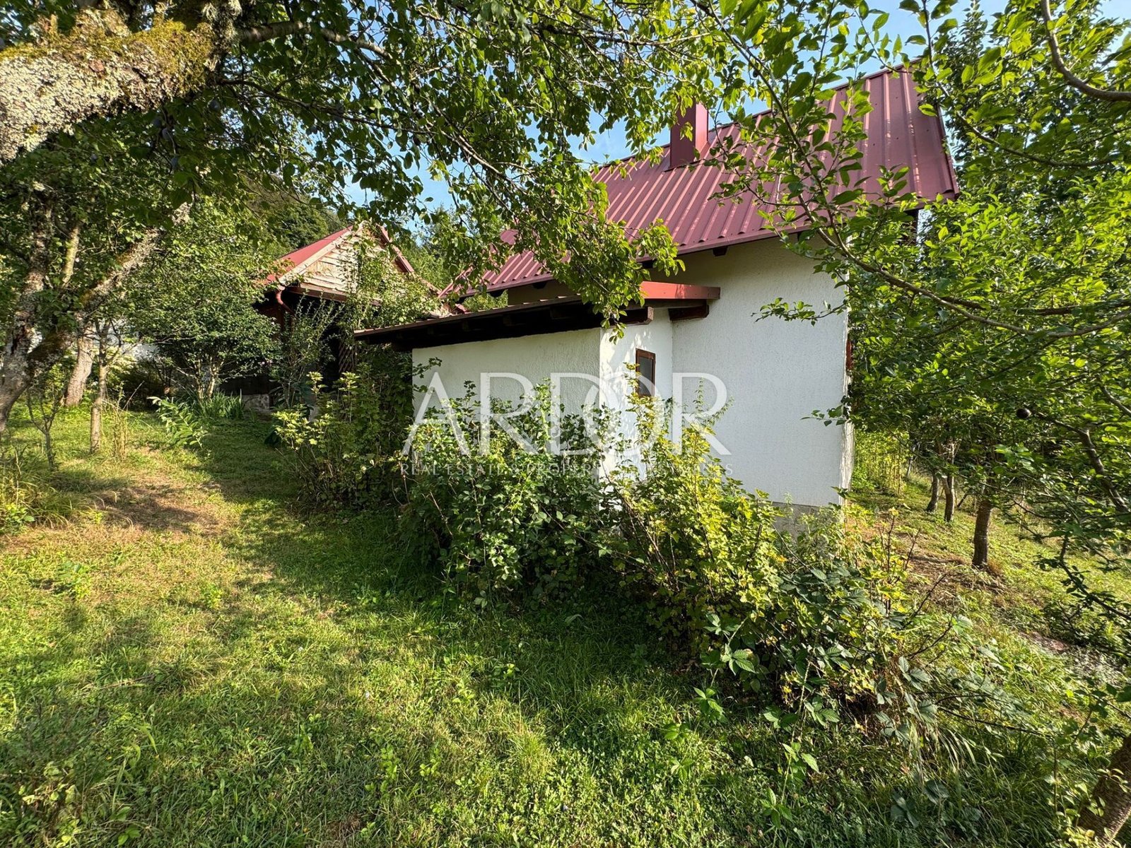 1724657061_whatsapp-slika-2024-08-23-u-11