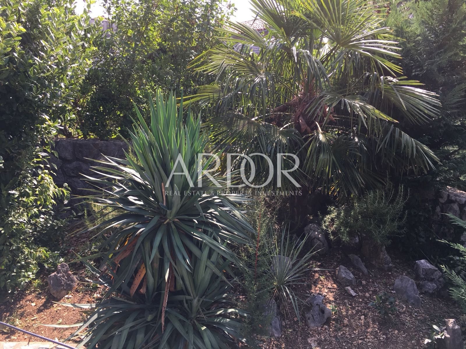 1761904601_whatsapp-slika-2025-10-31-u-10