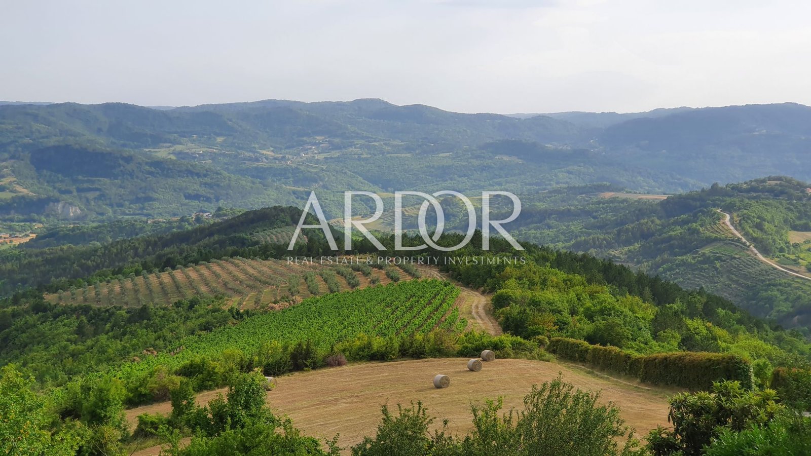 1762782500_20220701_182029