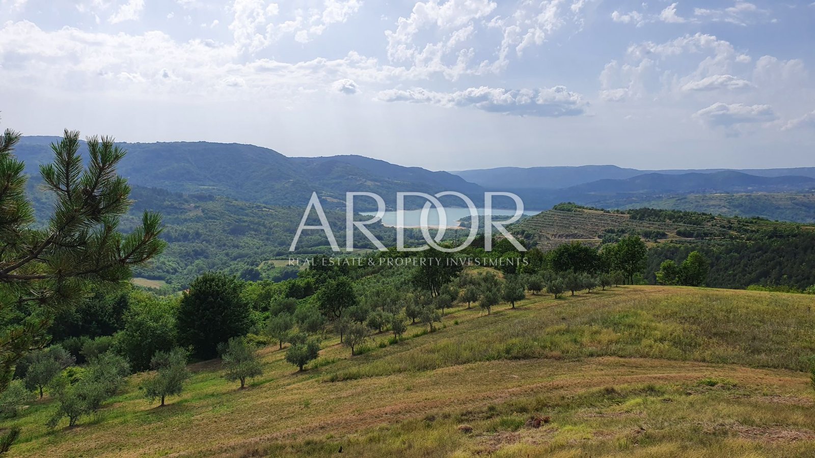 1762782503_20220701_164914