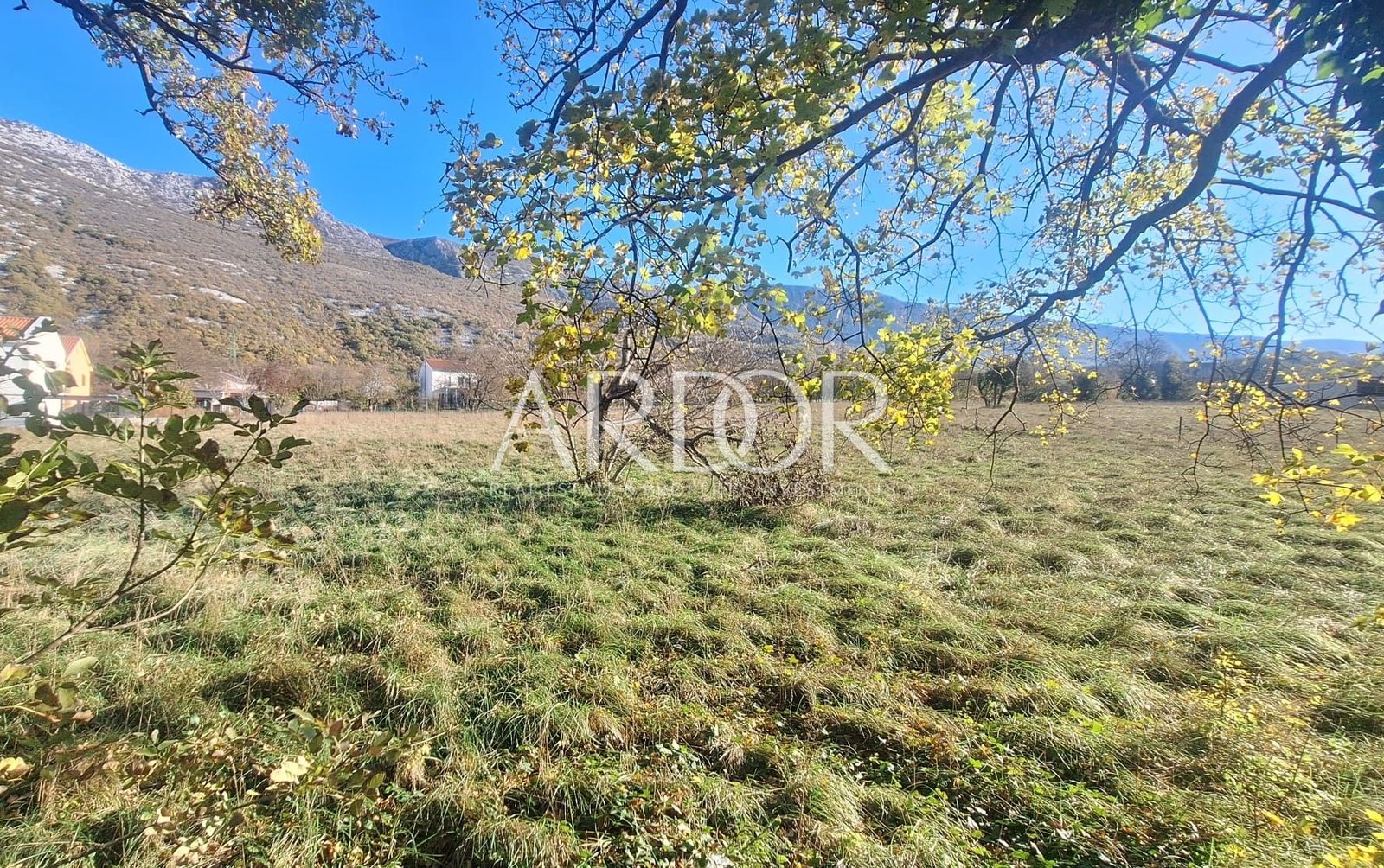 1764587385_img-20251110-wa0118