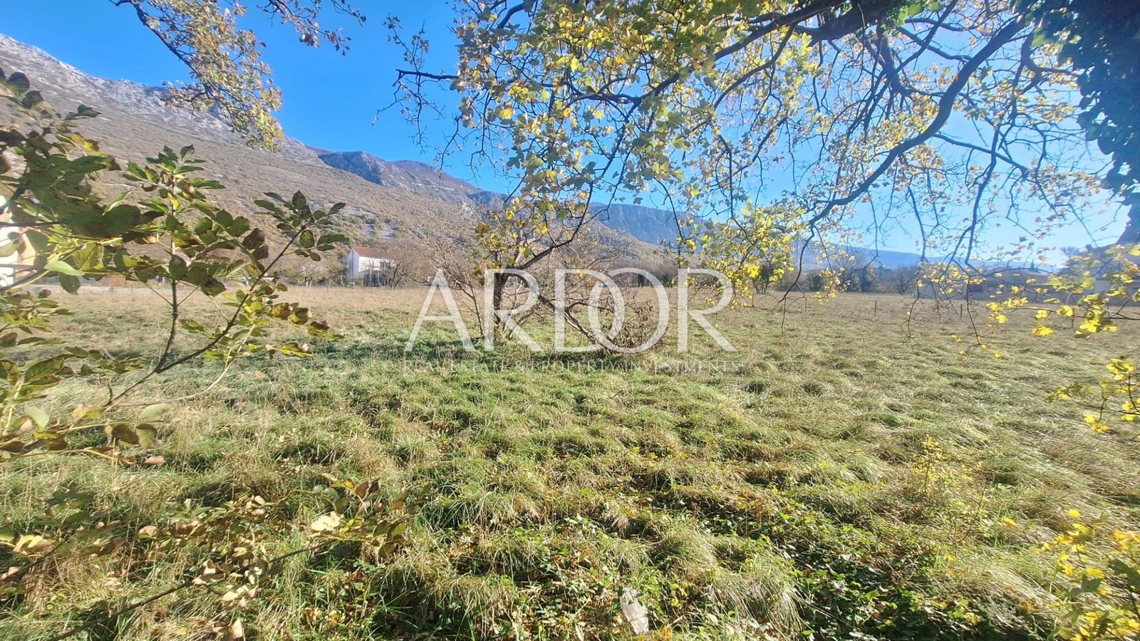 1764587420_img-20251110-wa0119