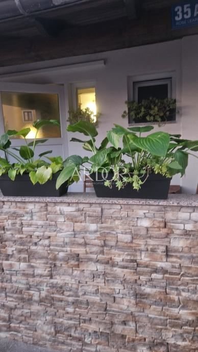 1775718913_garsonijera-trsatu-slika-275148381